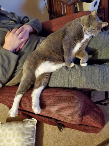 20191220_204751.jpg