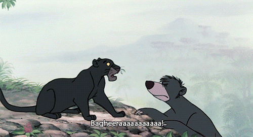 AF74E694-EFD6-464B-BBFD-C99A83989208.gif