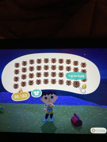 image.jpg