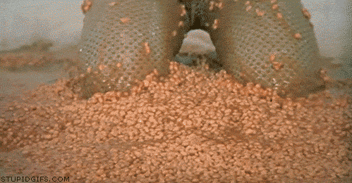 0CBB2189-5130-47A7-B7FD-81D52C31121D.gif