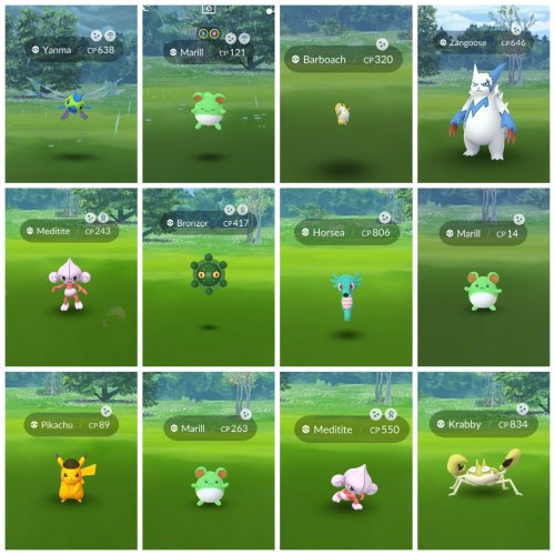 photocollage_20205919295551.jpg