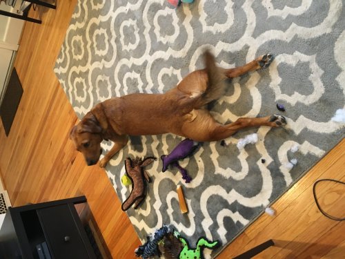 0802583B-F66E-4C5D-8A1A-E24A433E0523.jpeg