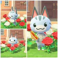 upload_2020-5-29_13-21-49.jpeg