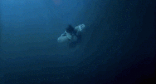 upload_2020-6-8_9-52-44.gif