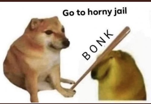 gotohornyjail.jpg
