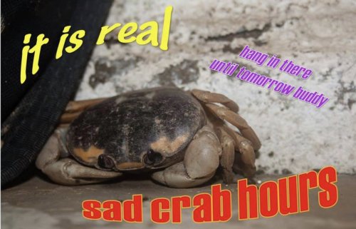 5B49C9C3-2883-442B-BCB0-BF4703AE64B8.jpeg