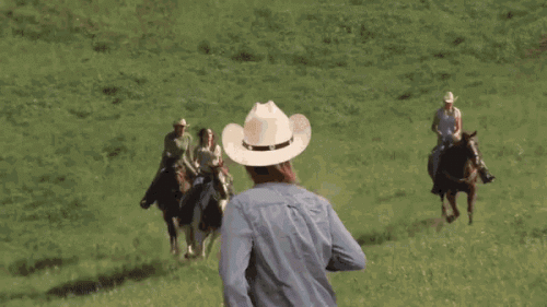 upload_2020-7-31_17-12-29.gif