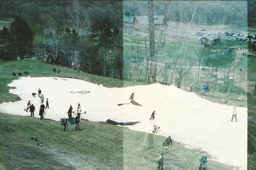 wild-1-1.jpg