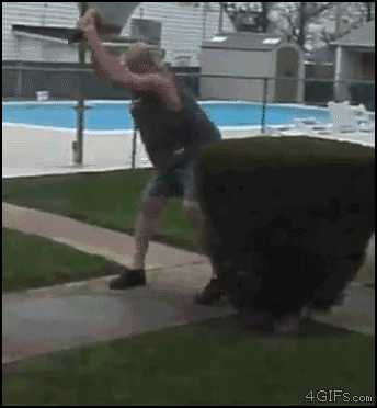 B80A9951-2DBF-44E5-ABFA-56C7225F0EBA.gif