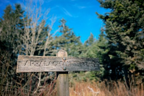 Clingmans_Dome_03.jpg