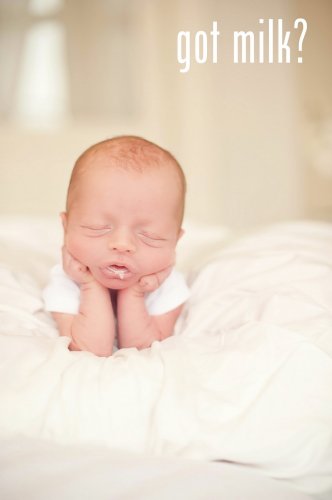 DSC_got milk3440.jpg