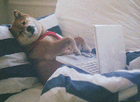 5871D623-6328-4C79-B996-3E632D47B53A.gif