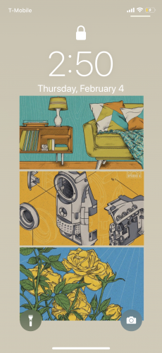 B47B5B8F-01C5-4E47-8D89-20A55BDFAA8F.png