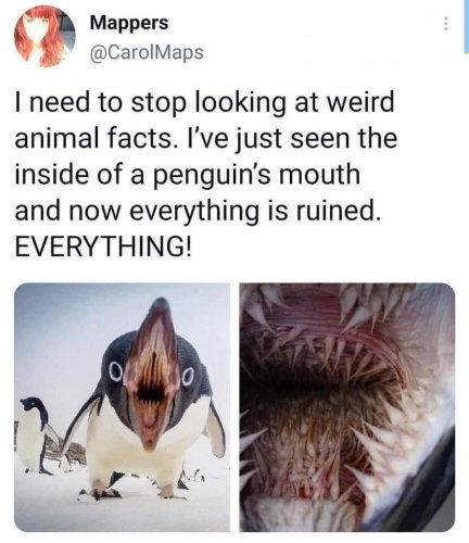 917017F6-8988-4F37-8458-C79DD2C5993C.jpeg