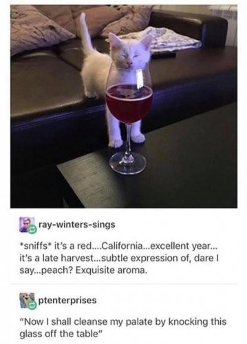 011C3BEA-A2F9-44BE-ACCD-6F54E5E7653F.jpeg