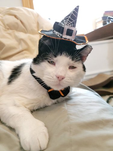 20211027_123038.jpg