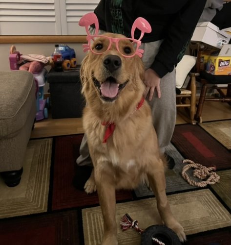 C7348665-C3EA-4BCC-9AB8-5F99579DBA42.jpeg