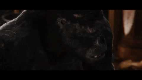 upload_2021-11-12_0-9-54.gif