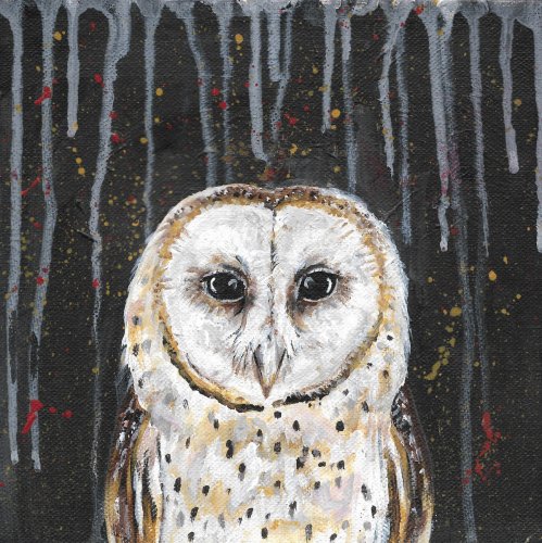 the owl.jpg
