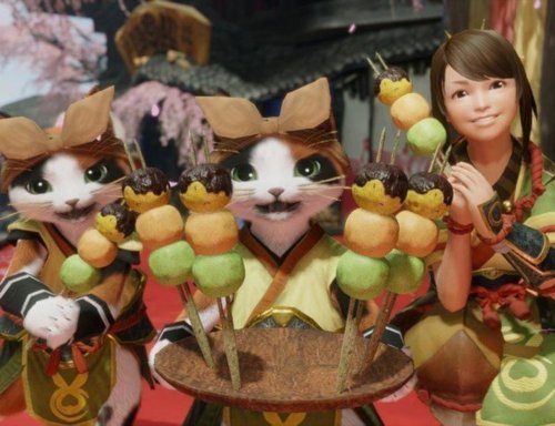 3928511-mhrise-dango-meal.jpg