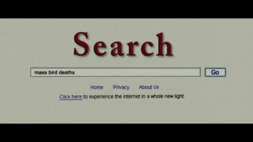 Screenshotter--DarkSkies-44’08”.jpg