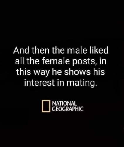 E047BD2D-5313-4ED6-B489-9F7332E7A0B5.jpeg