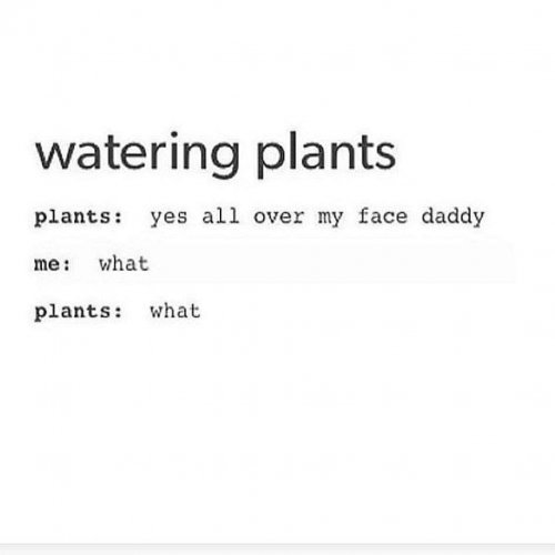 FDC9E225-6787-4B66-B5C2-CD859EE0B0F9.jpeg