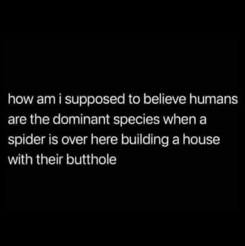 9370CB6C-23F7-45FE-B425-EC03D0E5C0D8.jpeg