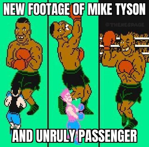 28947516-DFD9-4AA0-B922-C39F6A87D1C5.jpeg
