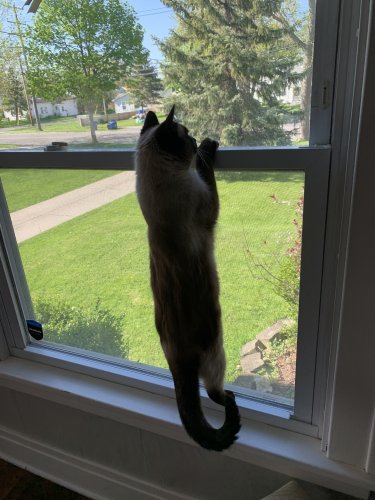 05229484-15E3-4C81-805B-6D40E9483A2D.jpeg