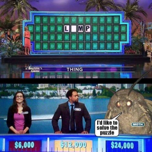 04FB19AC-542E-4E2C-93D0-F887858B2299.jpeg