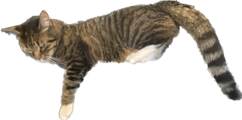 upload_2022-9-17_8-3-2.png