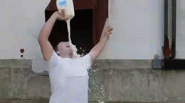 IMG_8232.GIF