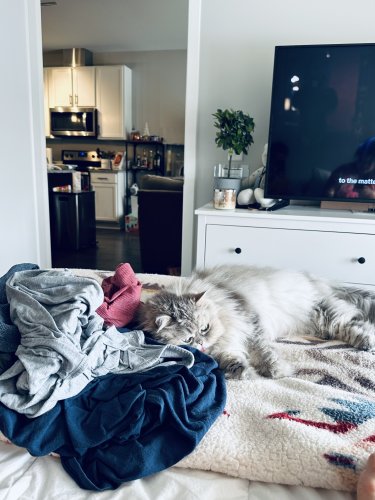 1635C1E6-5F7C-4251-92D1-DE026B09D484.jpeg