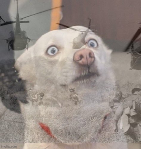 FEFCB4A3-B008-4D89-A15F-D38434F2EEDD.jpeg