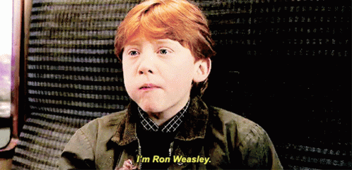 5831E310-840D-4867-B790-8228CCABD659.gif