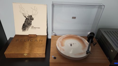 20230215_183008.jpg