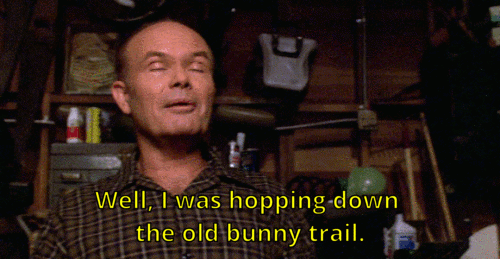 tumblr_p6fp97Wjdt1uji5dbo4_r1_500.gif