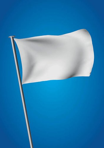 white flag.jpg