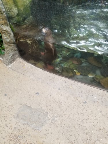 20170721_094503.jpg