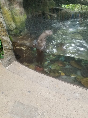 20170721_094504.jpg