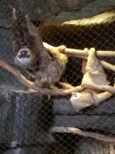 20170721_101808.jpg