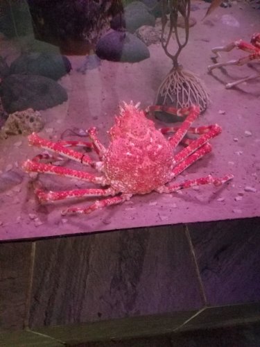 20170721_102102.jpg