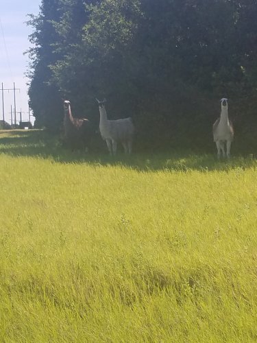 20170727_101657.jpg
