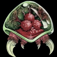 metroid