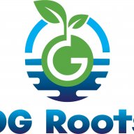 OG Roots