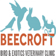 Birdvet Singapore