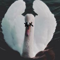 IAmANightmare