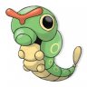 CaterpieSWAG