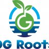 OG Roots